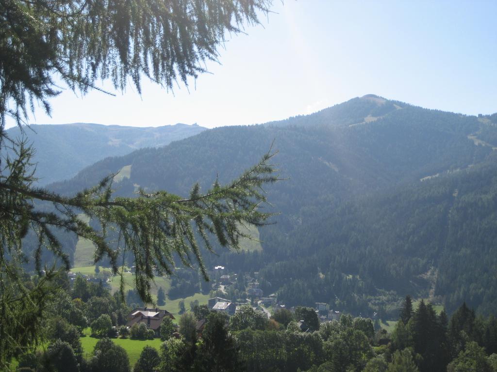 Ferienhaus Stiglitzweg Bad Kleinkirchheim Room photo